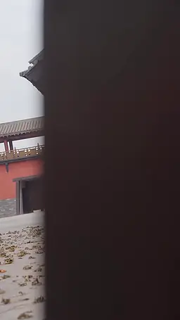 Episode 29