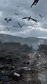 Episodio 47