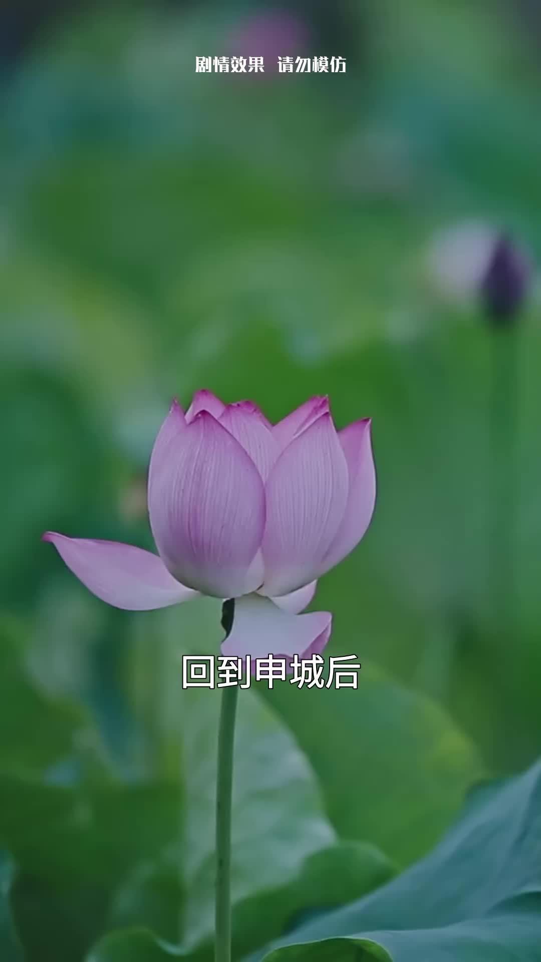在暴戾少帅心上撒野 EP.5