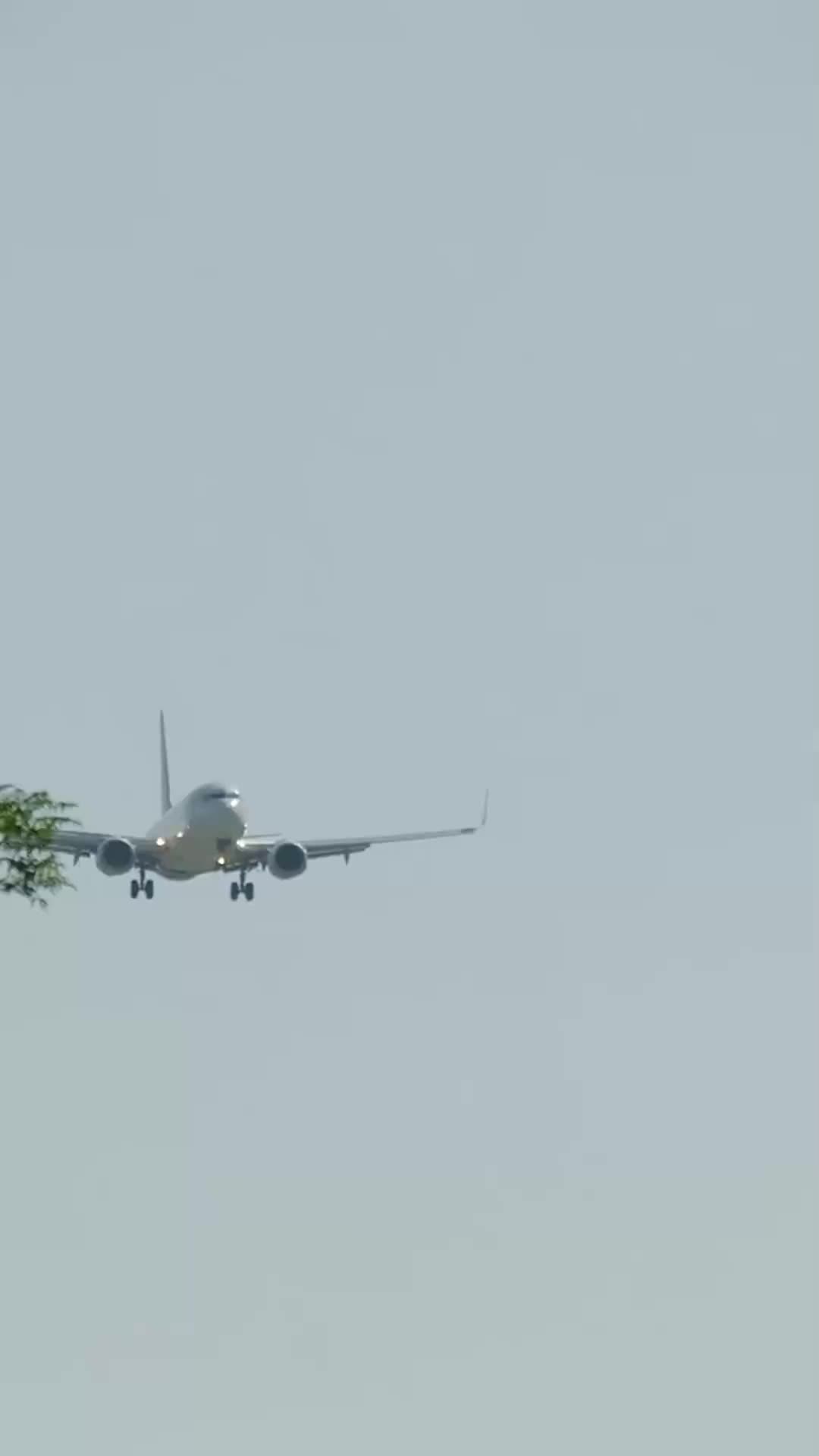 Milyarderi Evcilleştiren Kız EP.10