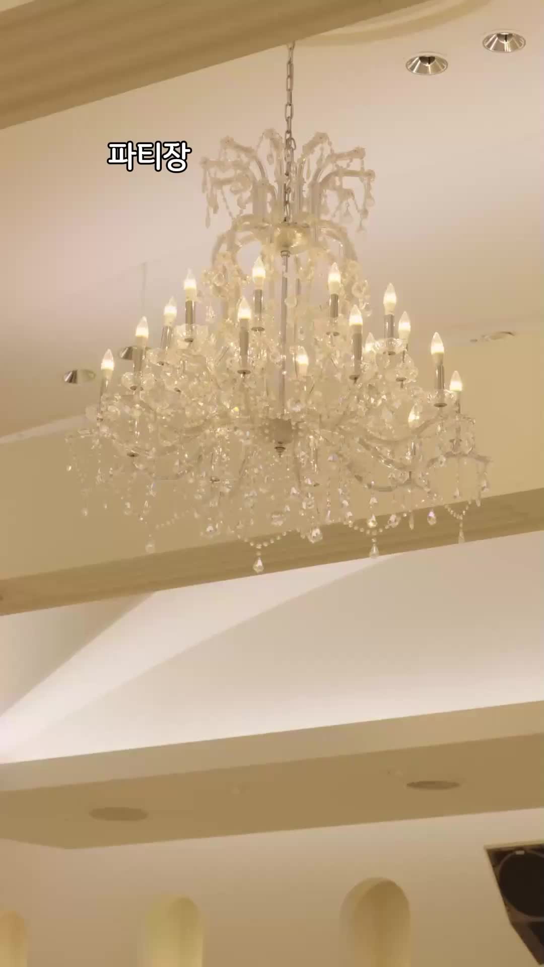6회