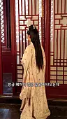 61회