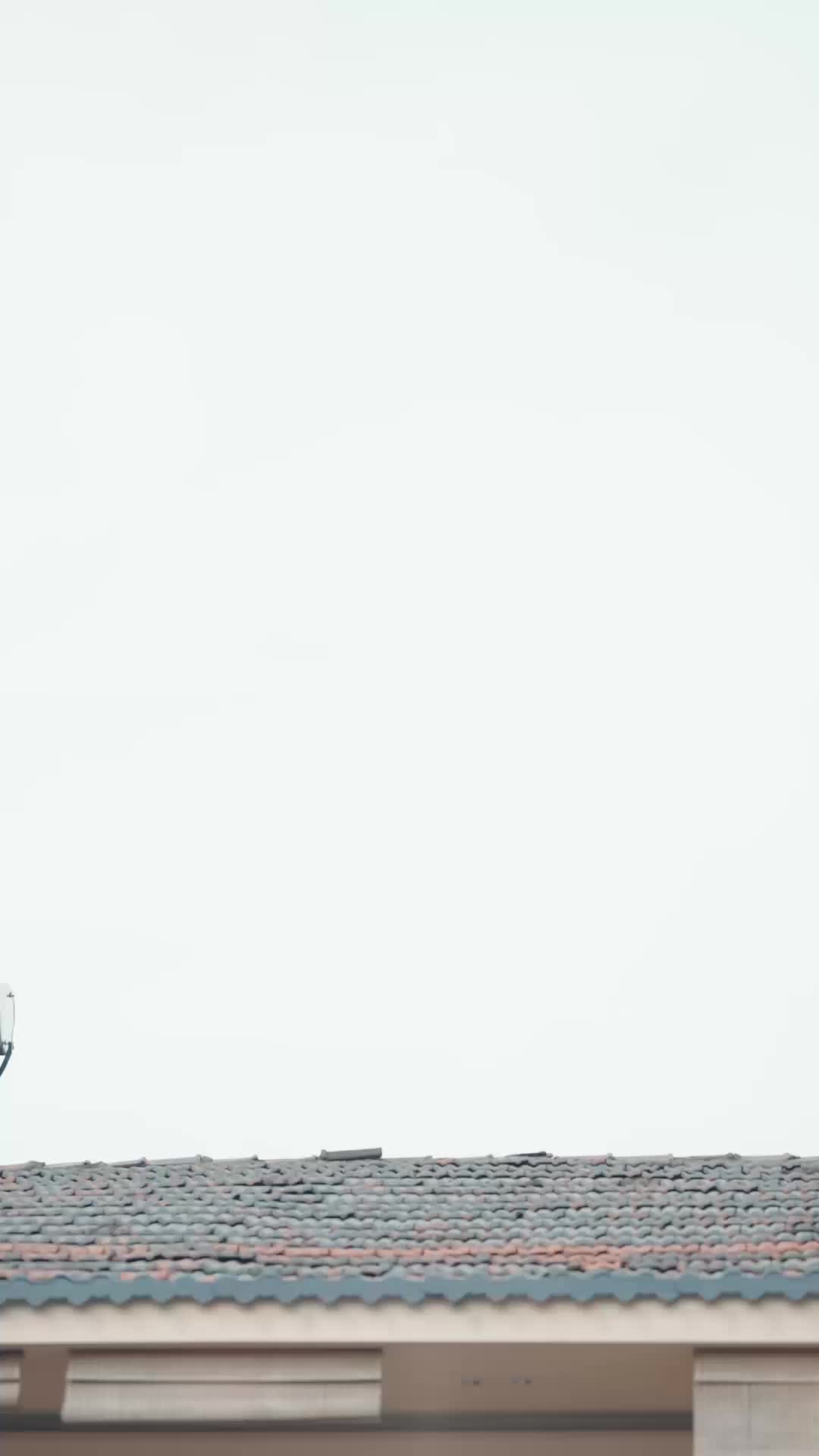 闪婚甜妻有点野 EP.1