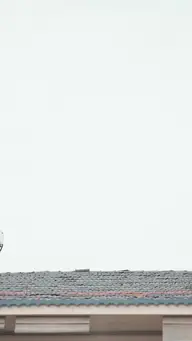 闪婚甜妻有点野 EP.1