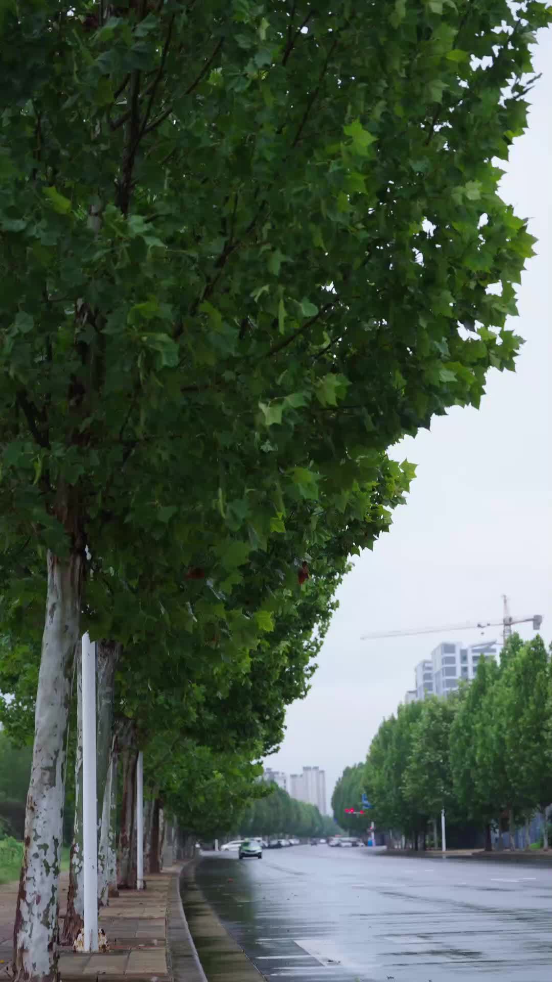 第70集