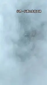 仙人でも社畜でも家族に恩返し EP.1