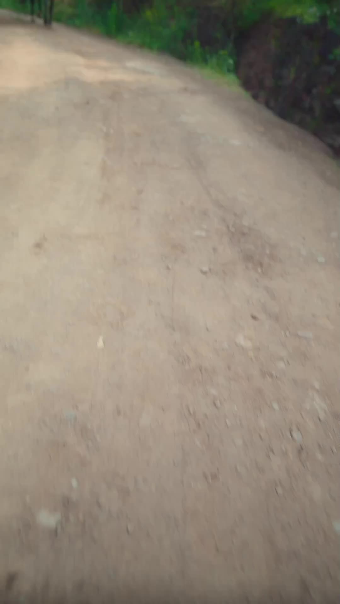 Épisode 74