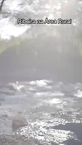O Ponto Fraco do Bilionário EP.1