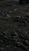 Episode 24