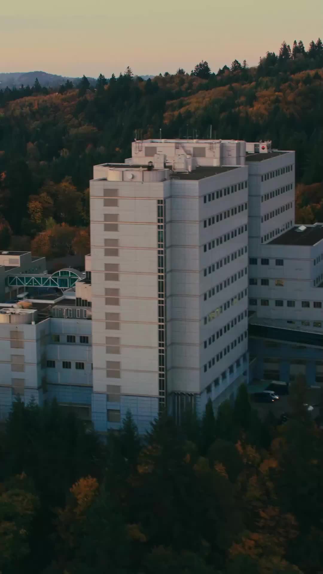 Chồng cũ phản bội, tôi tìm đàn ông đắt giá hơn EP.1