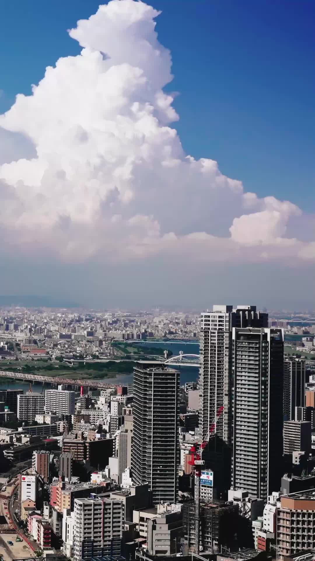 ตอนที่ 22