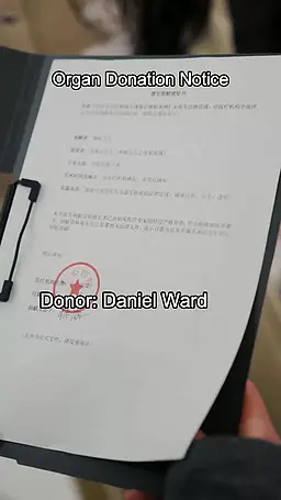 Episode 29