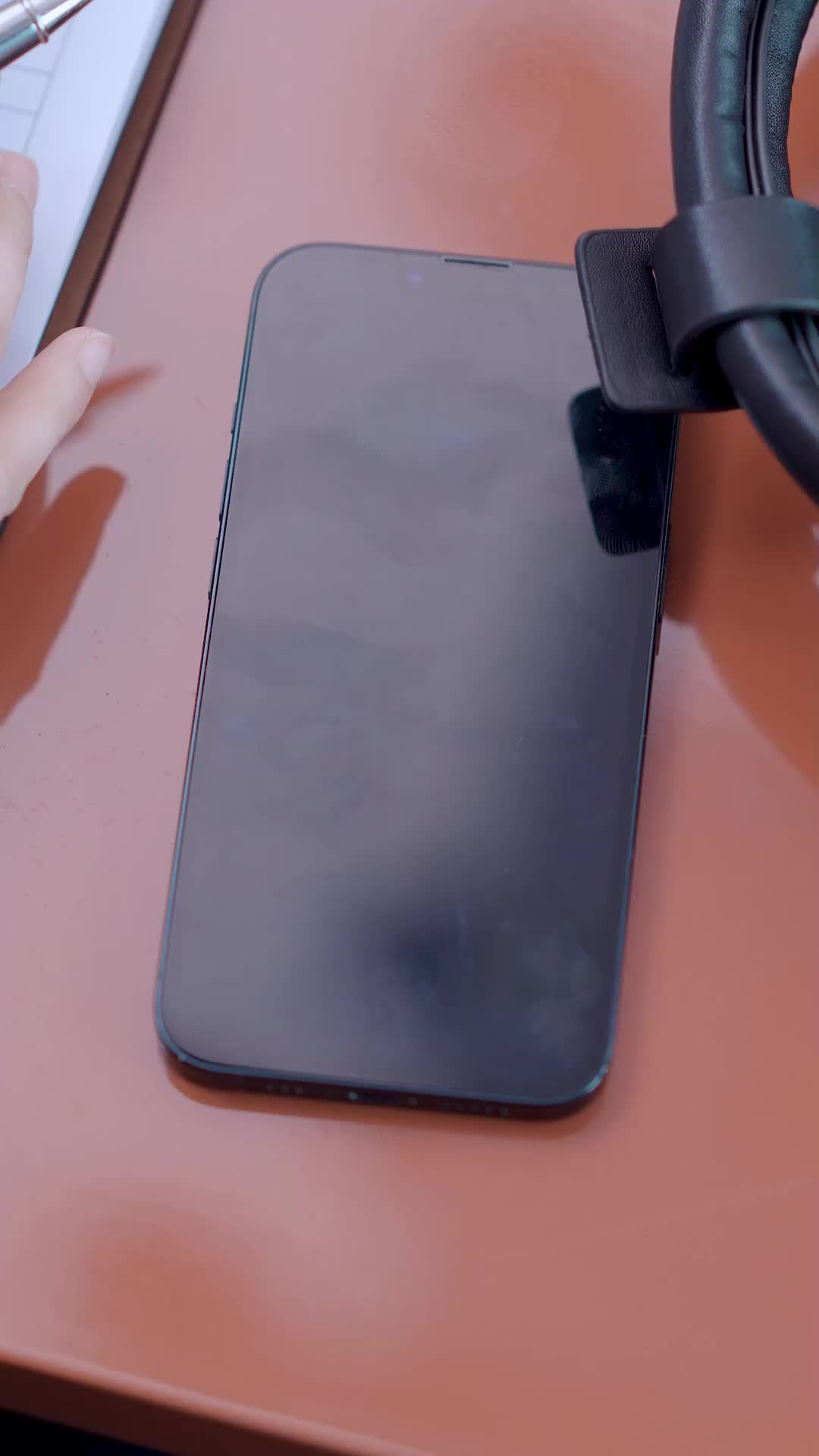 Flores en el Sur de la Ciudad EP.4