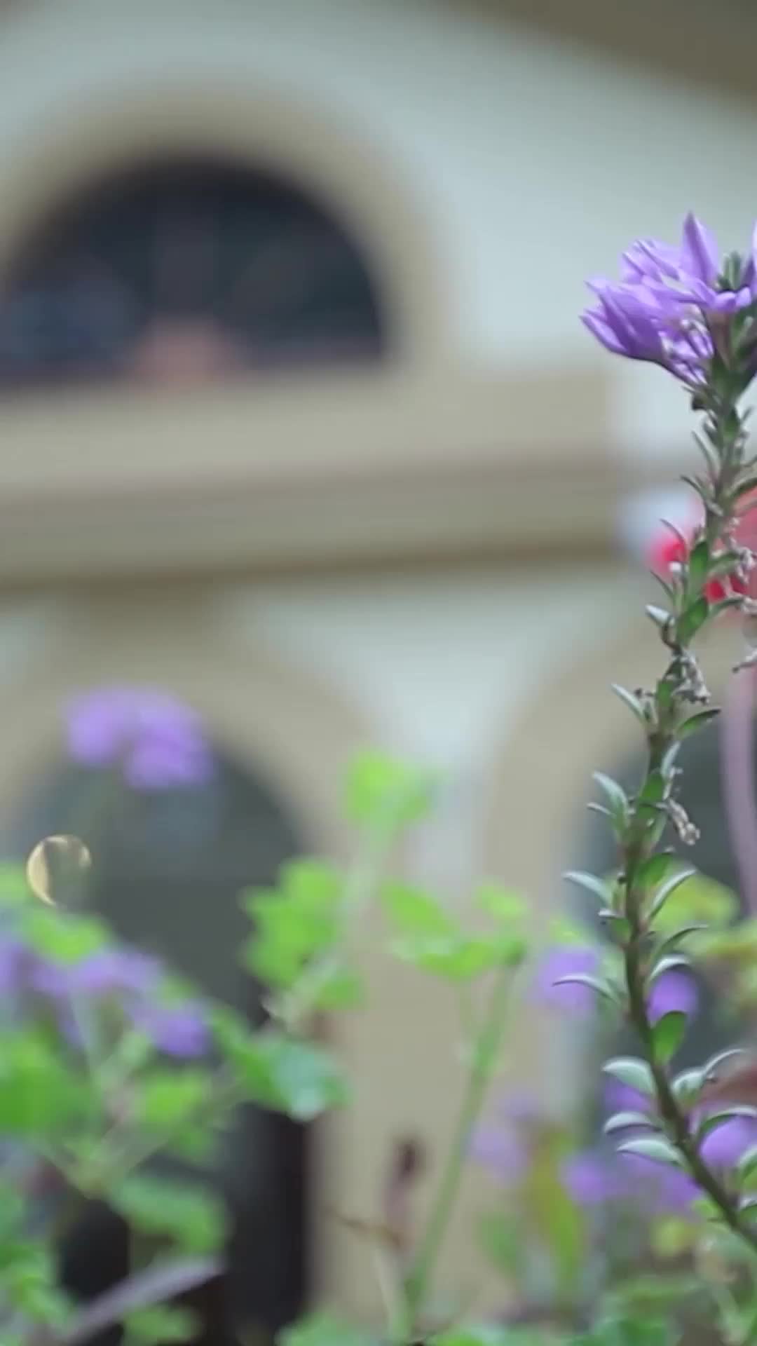 ตอนที่ 78