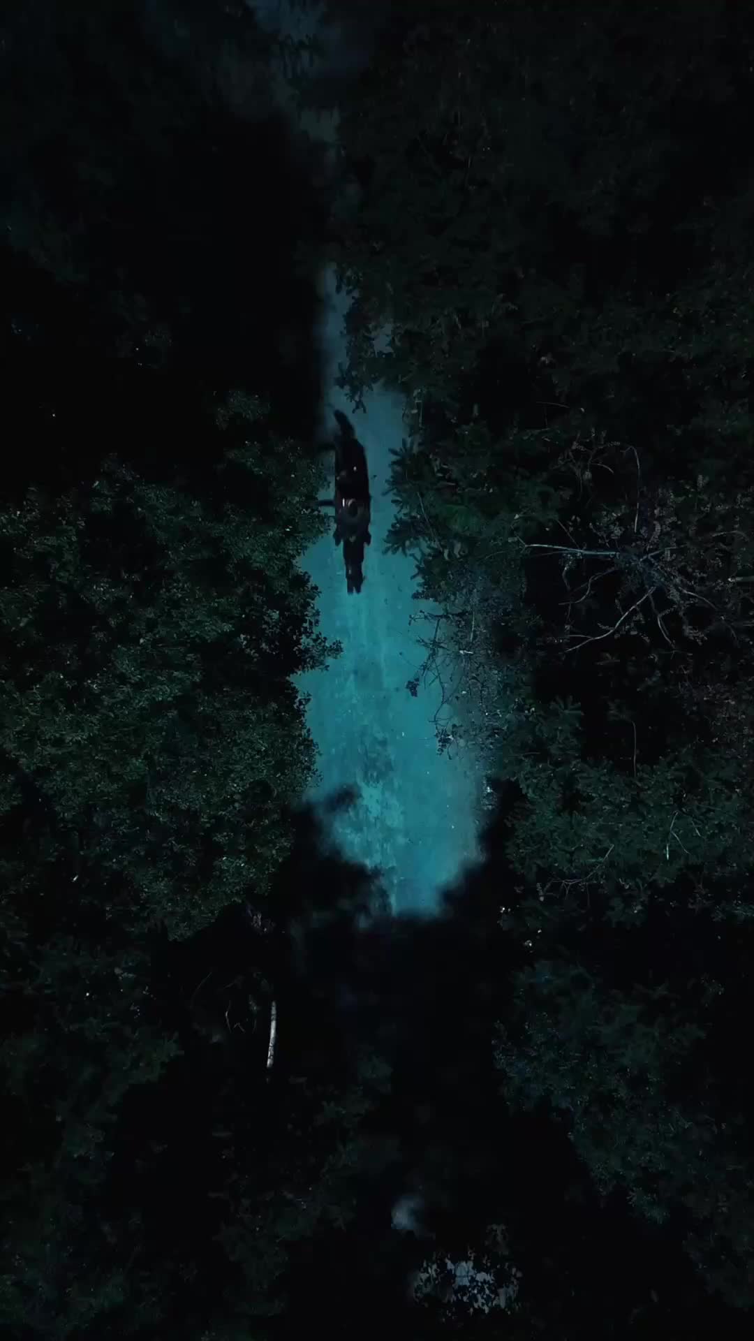 Episode 16