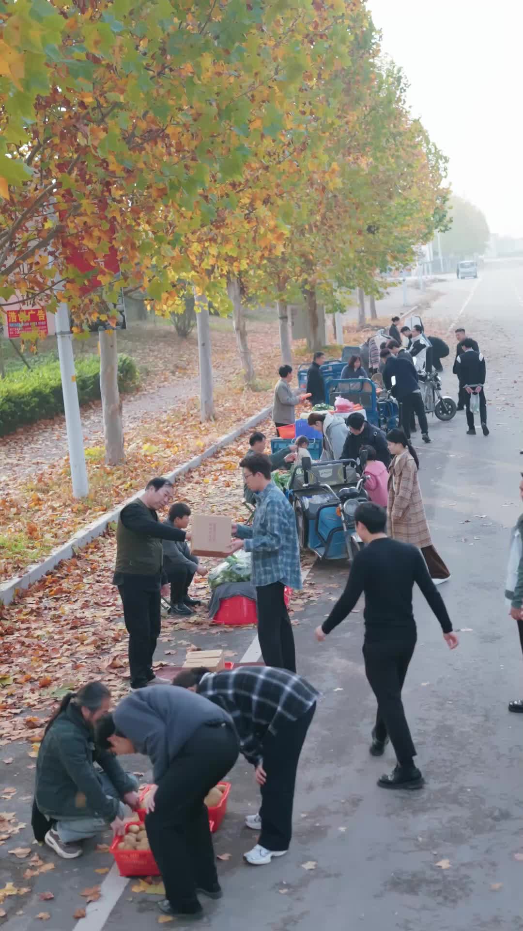 Reencuentro bajo la tormenta EP.1