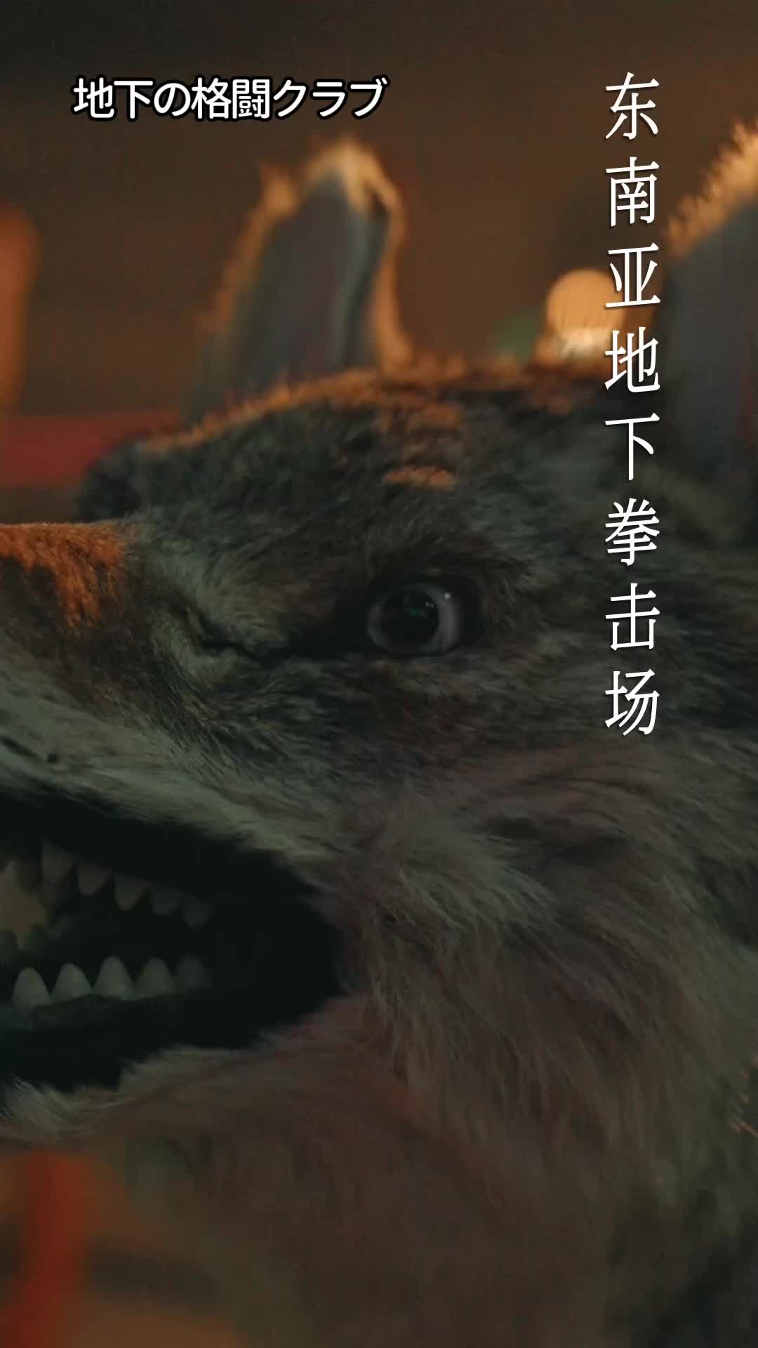 華麗なるキズナ EP.1