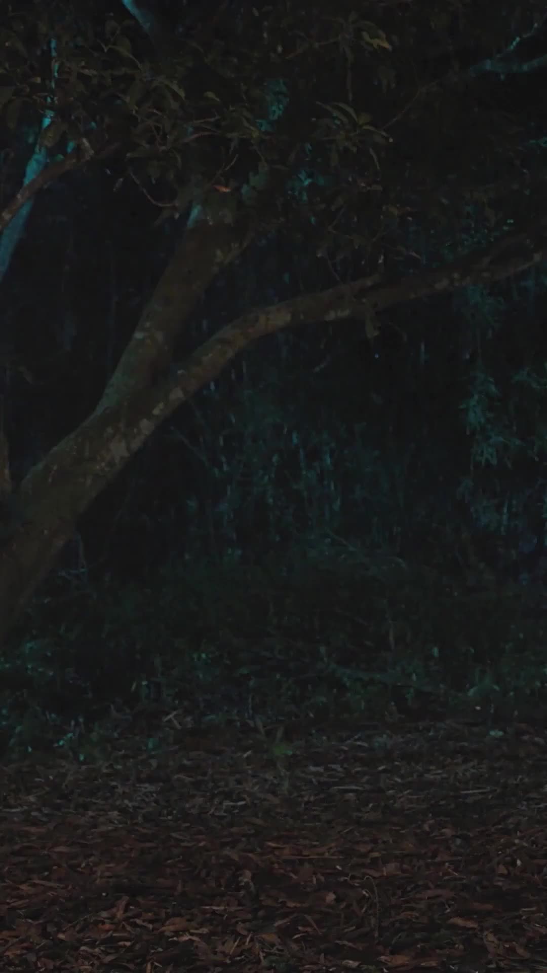 ตอนที่ 49