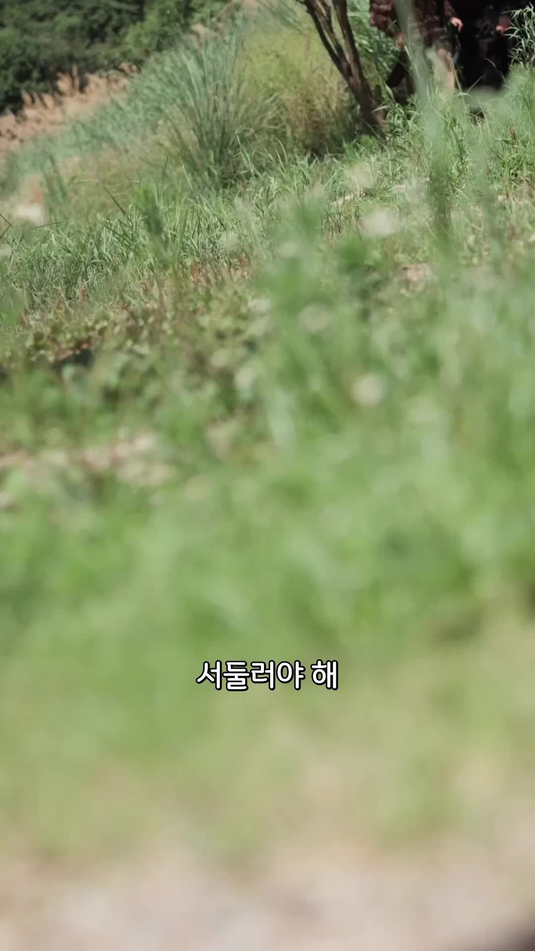 66회