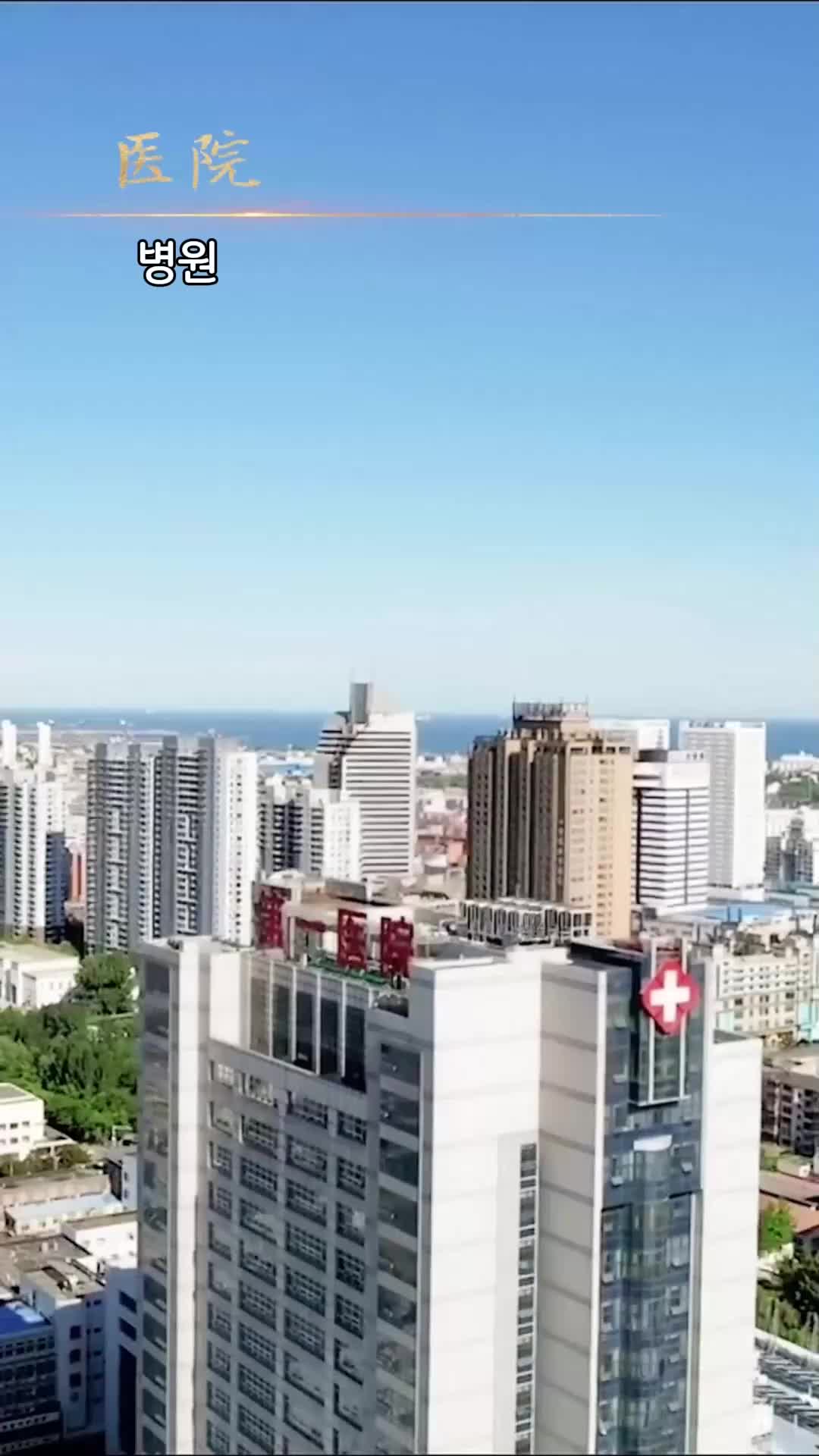43회
