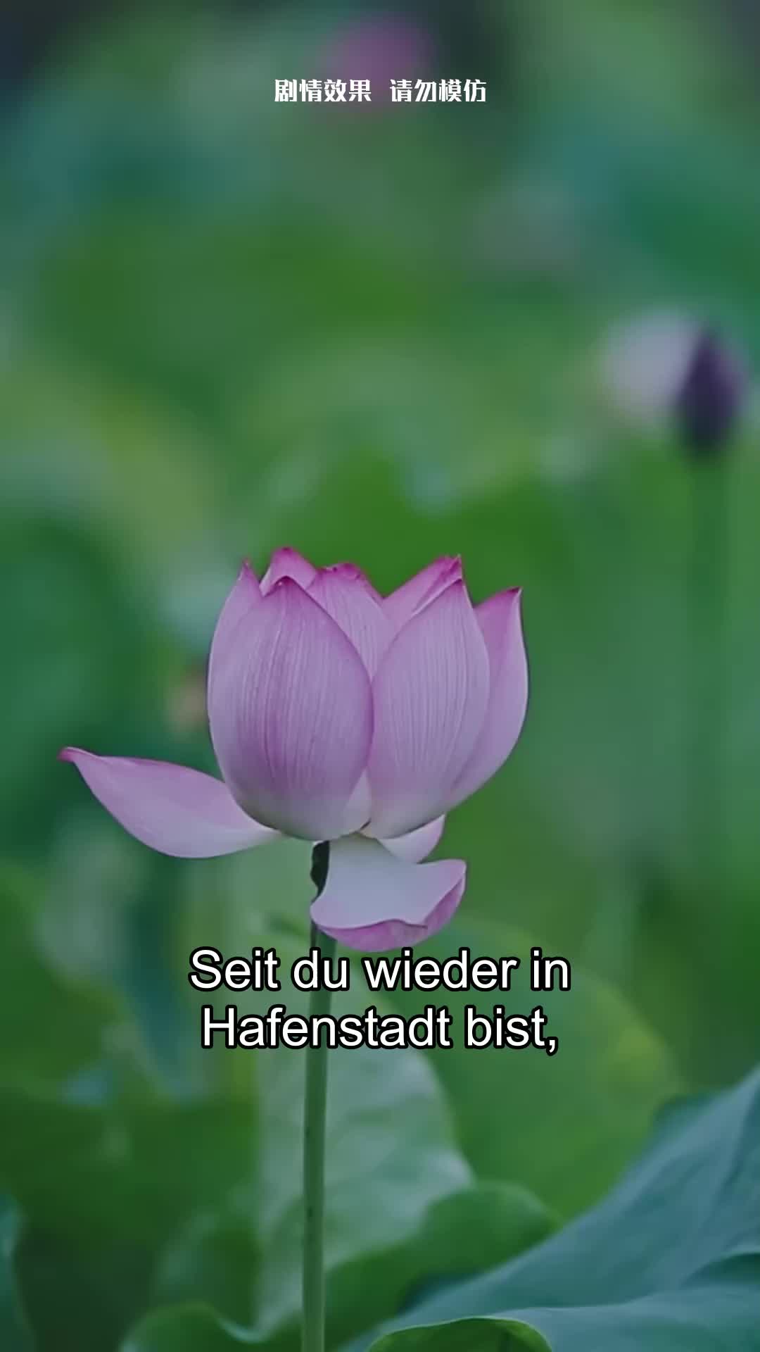 Die Zähmung des jungen Marschalls EP.5