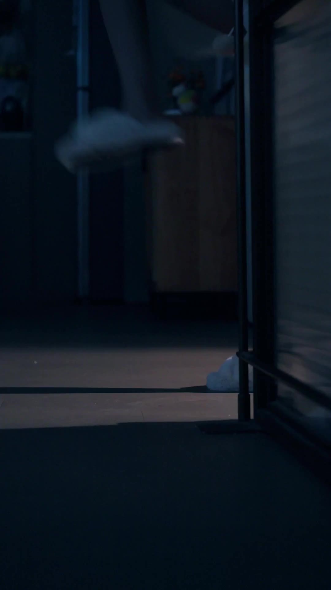 我有一只男狐狸 EP.7