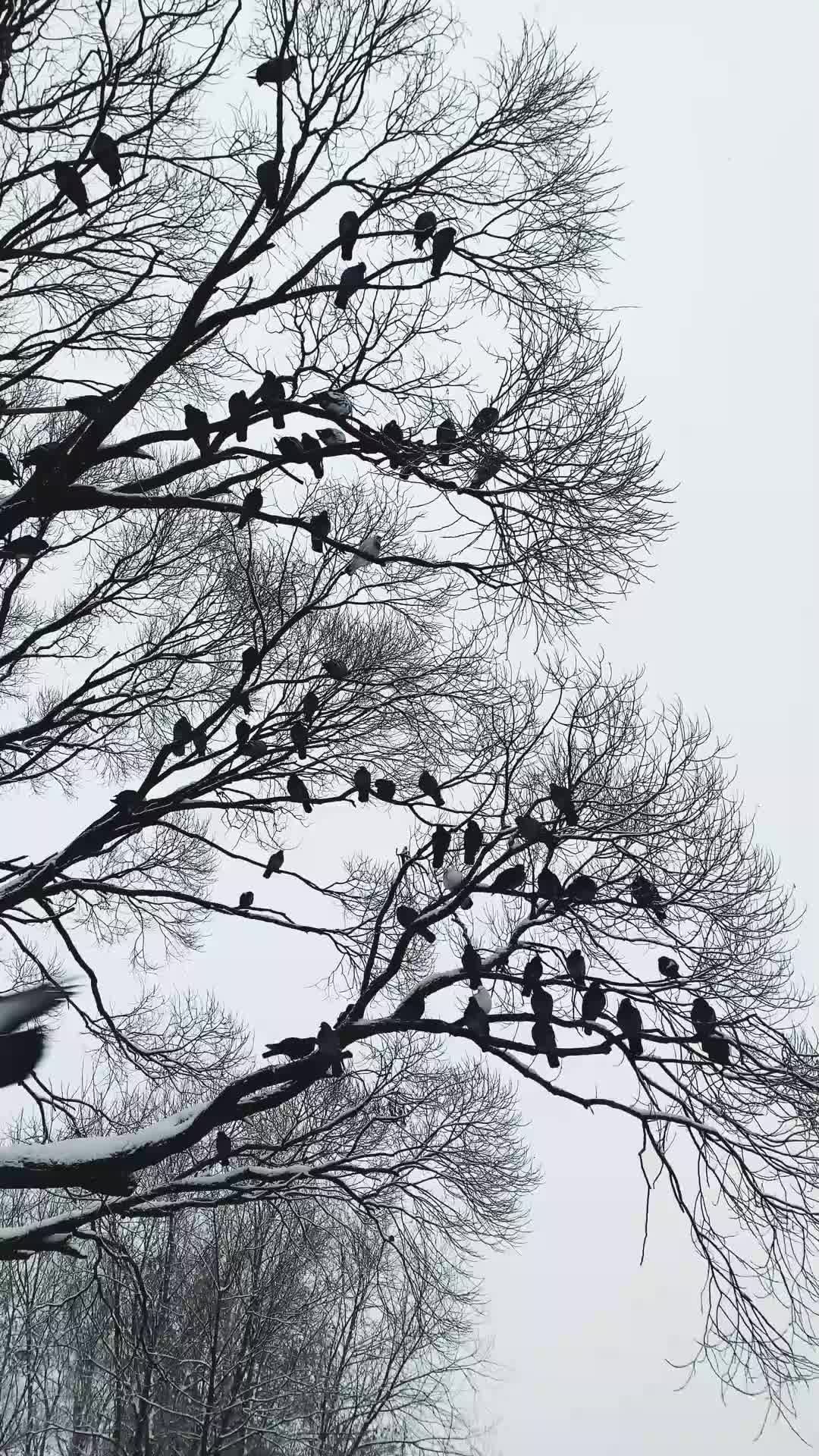 Unter einer Bedingung EP.1