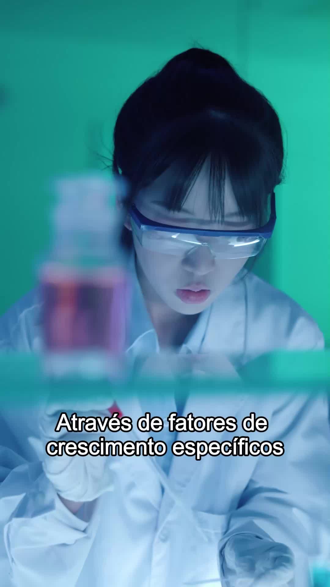 Episódio 17