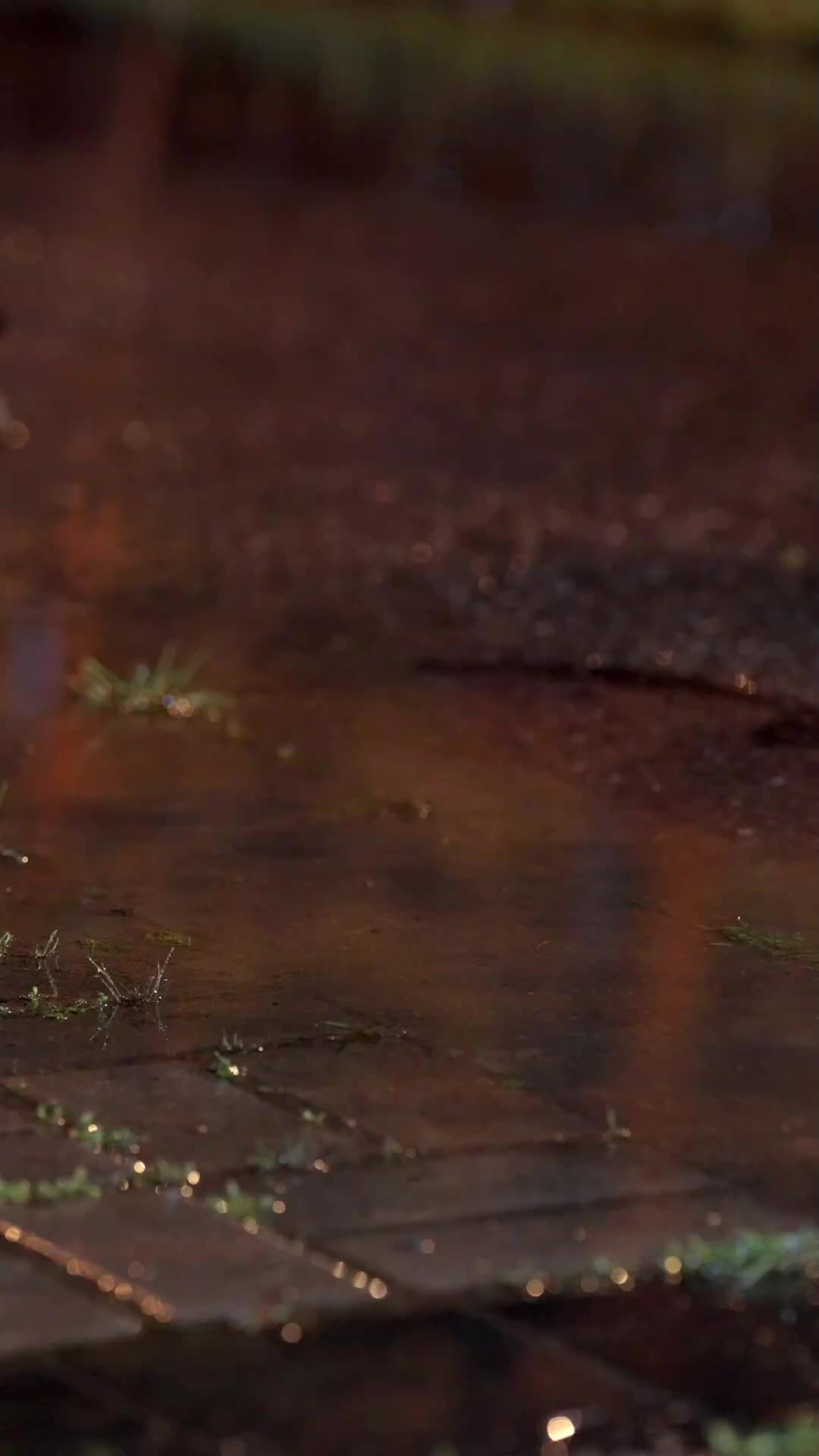 狼人爹地找上門 EP.1