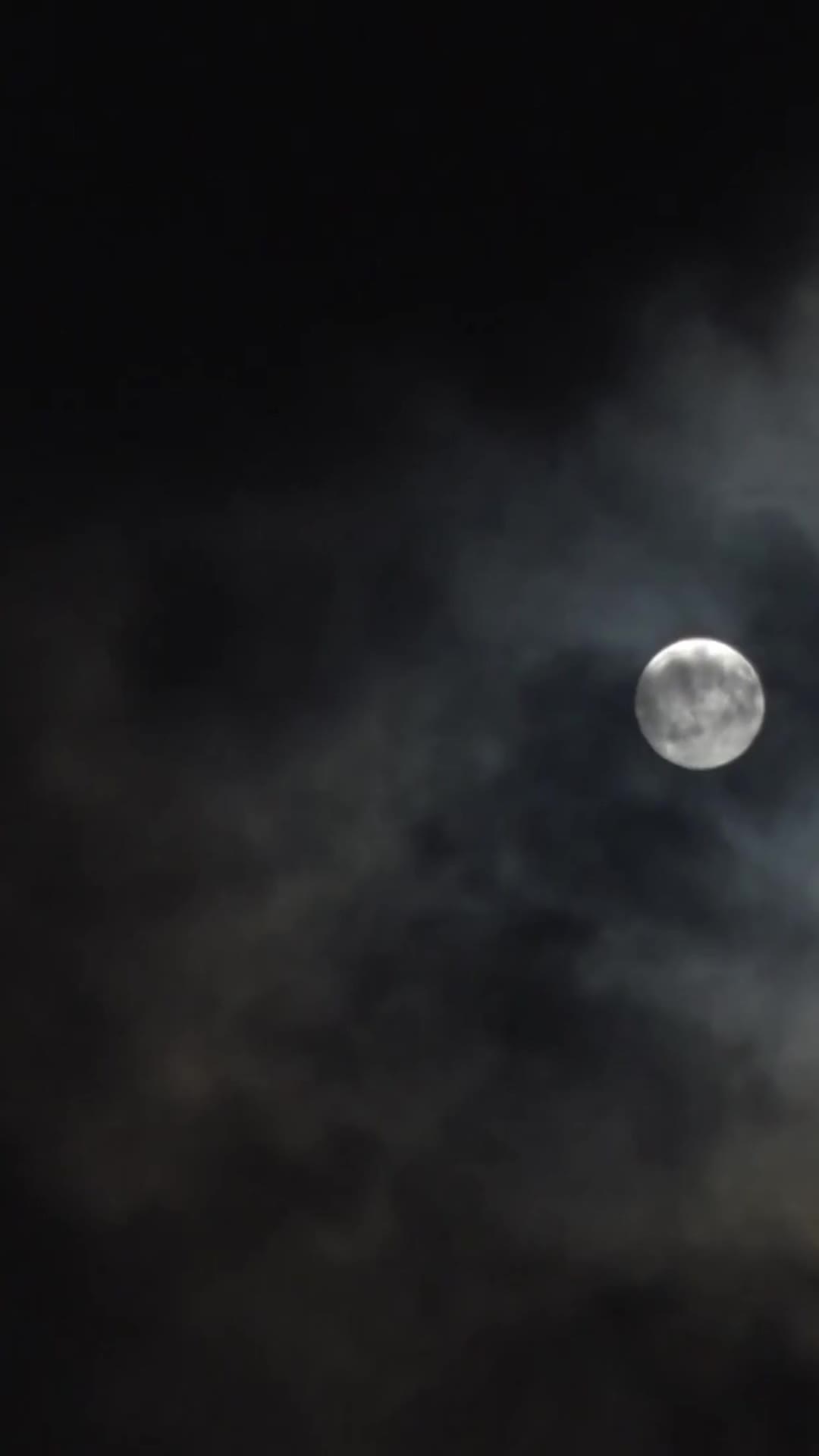 대표님, 제발 그만 EP.5