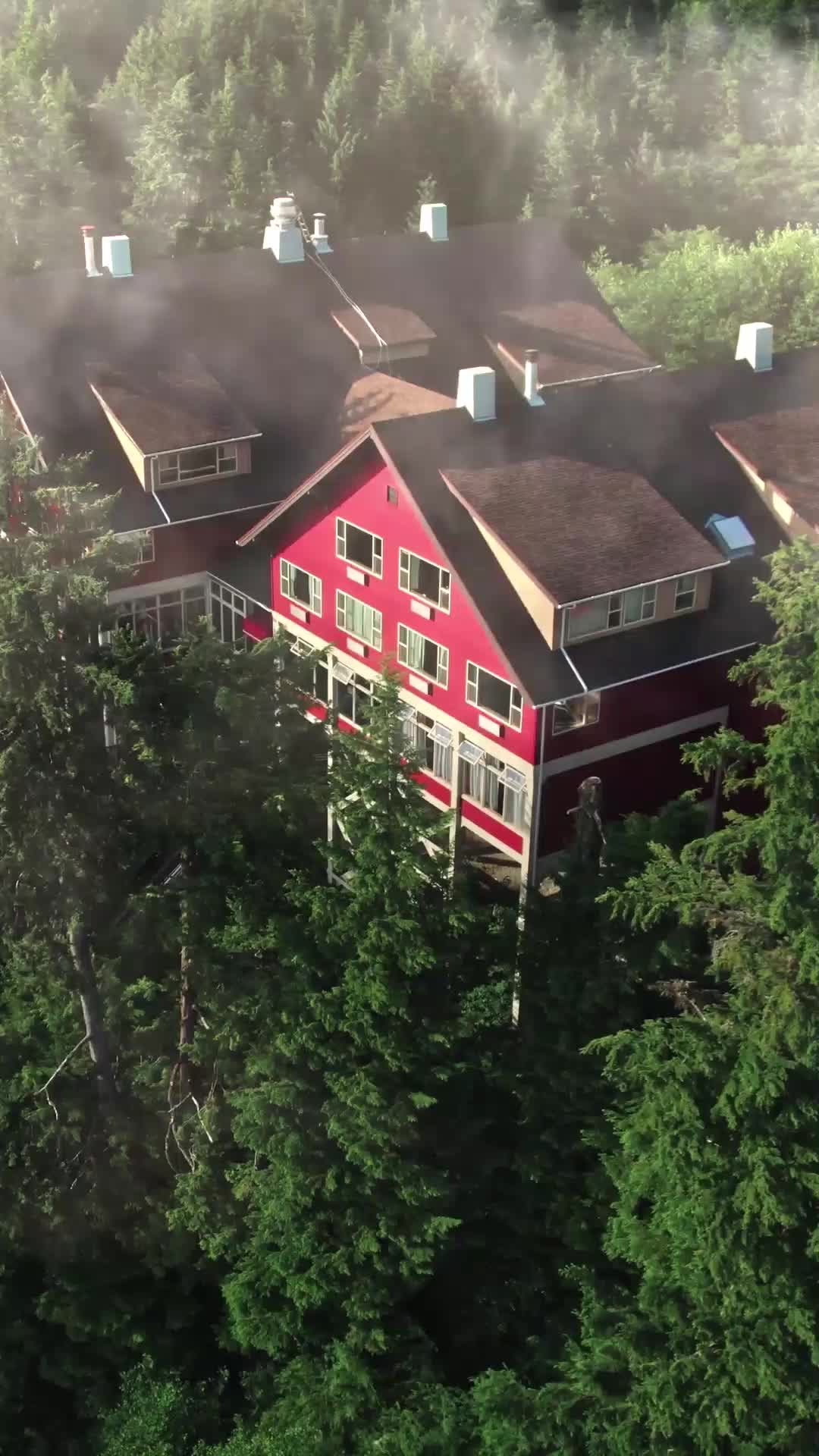 Don't forget me again,Alpha! EP.1