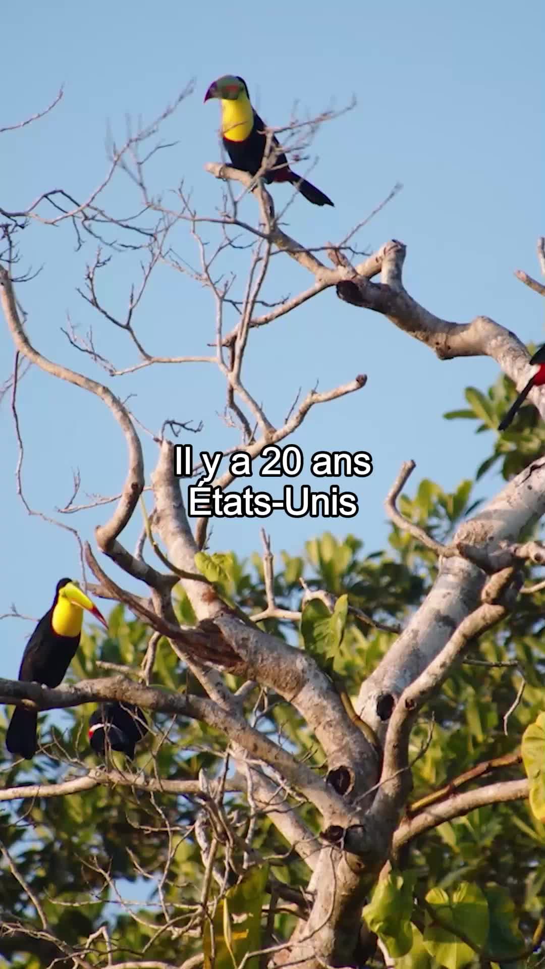 Princesse contre vents et marées EP.1