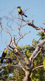 失われた相続人から王室の高位へ EP.1