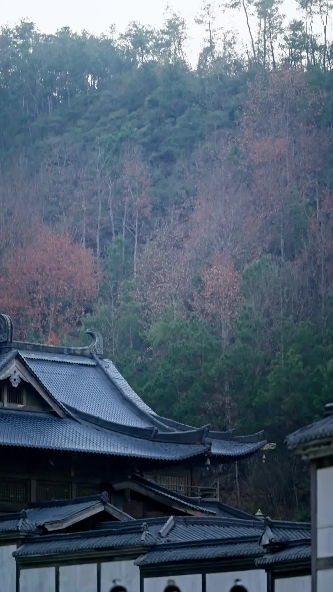 Episode 80