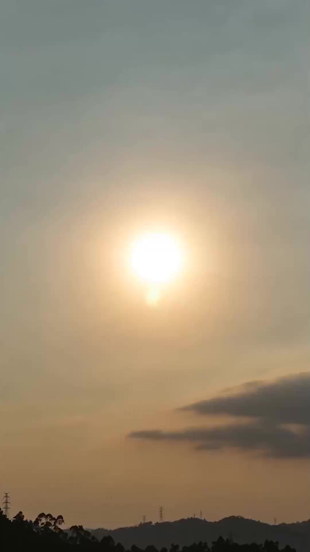 让我退学，我反手震惊学术界 EP.1