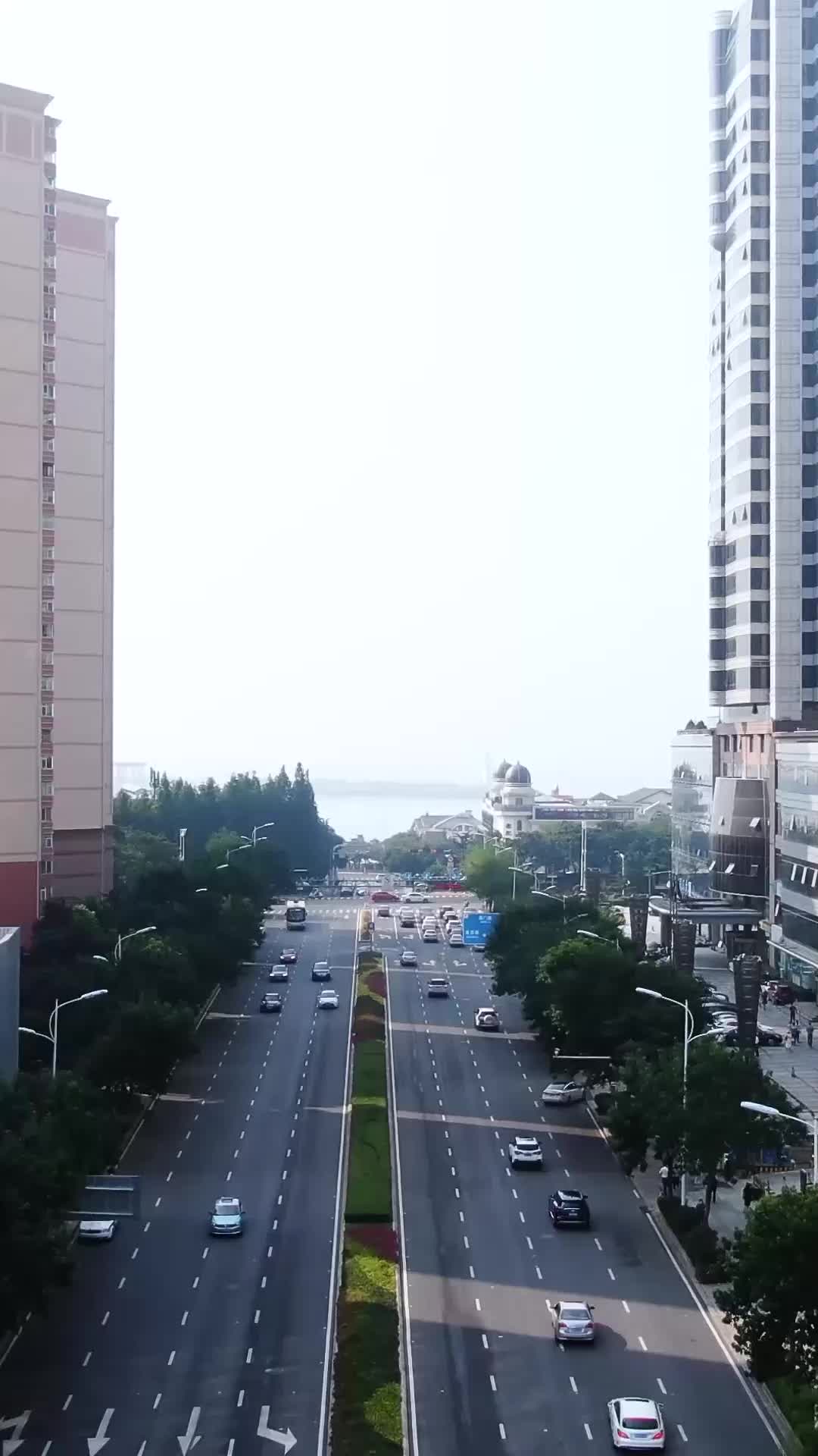 Bunga Mekar di Selatan Kota EP.2