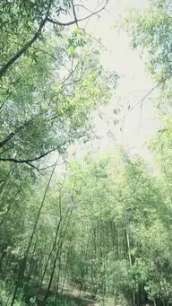 La Princesse aux Mille Bêtes EP.6