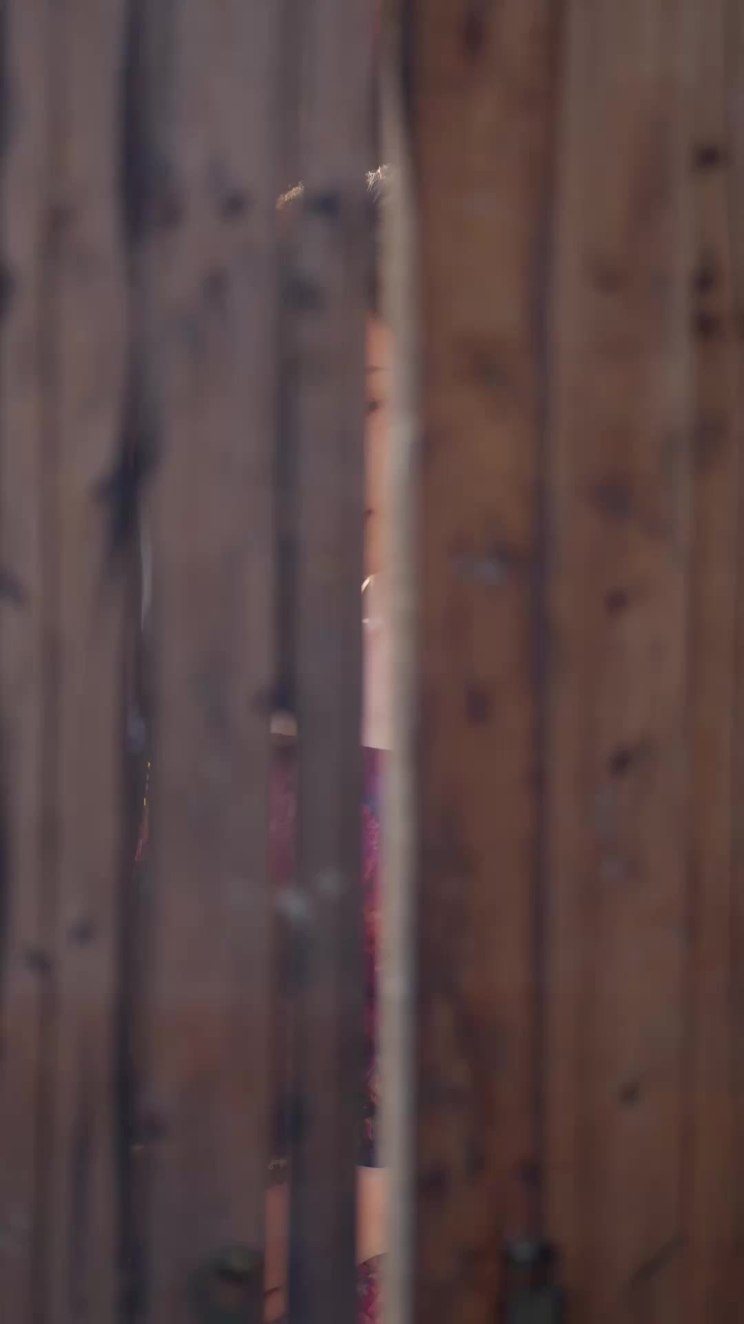夜囚双凤 EP.1