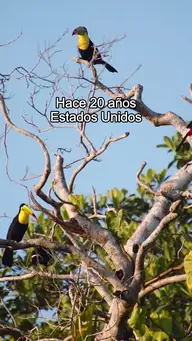 De Heredera Perdida a Alteza Real EP.1