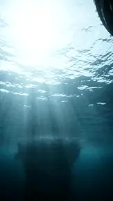 困於黑潮的人魚公主 EP.1