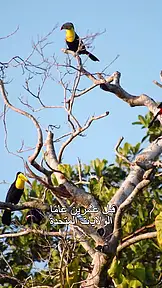 من الضياع إلى العرش EP.1