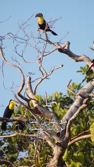 من الضياع إلى العرش EP.1