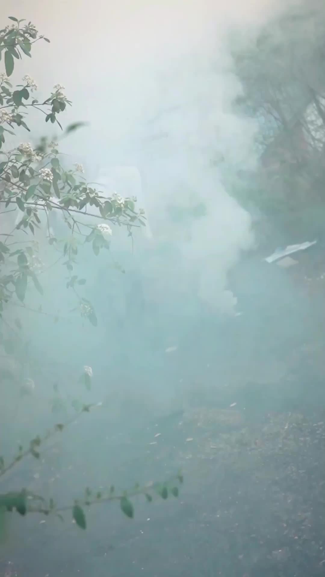 第68集