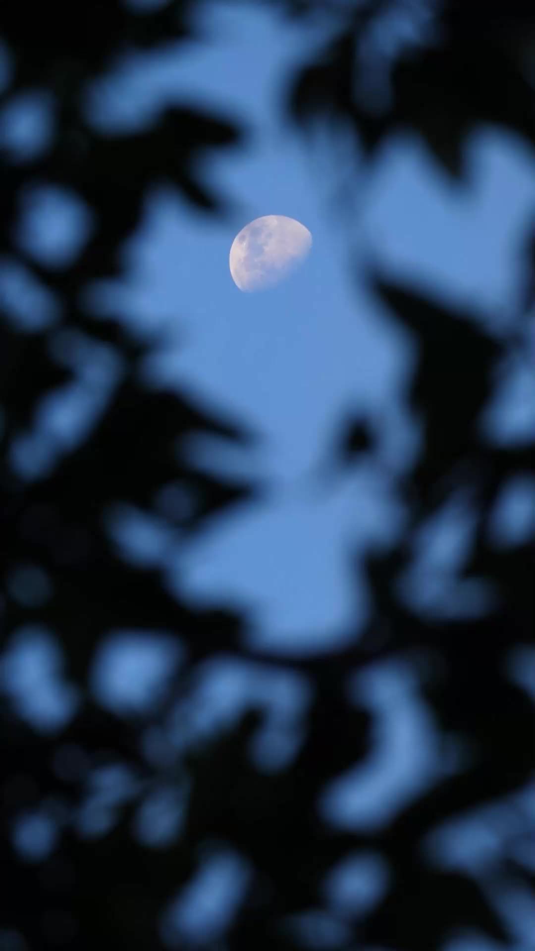 ตอนที่ 14