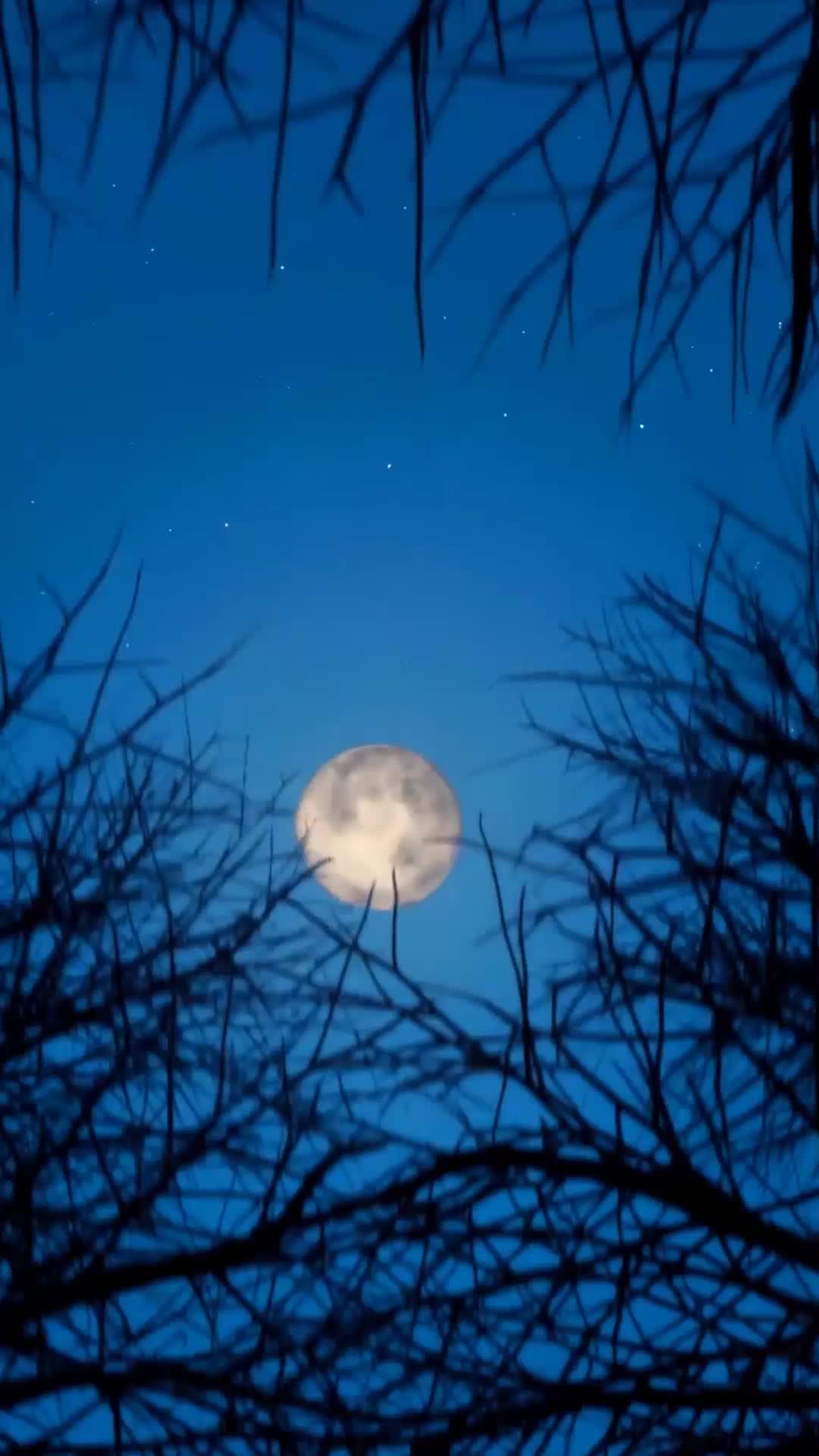 Destinados a Perderse: La Luna de sus sueños EP.1