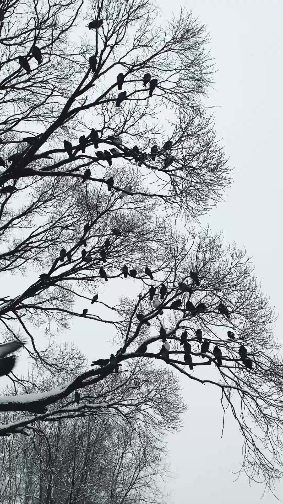 On One Condition EP.1