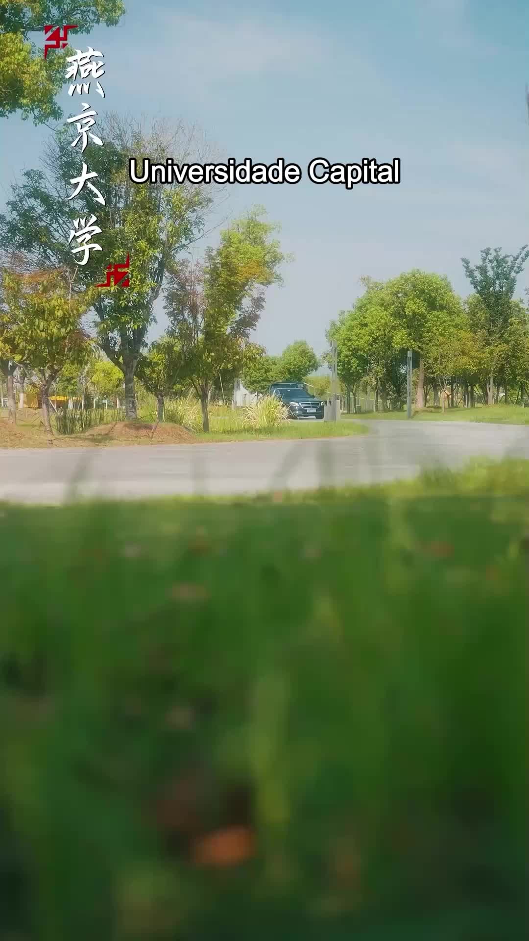 Episódio 15