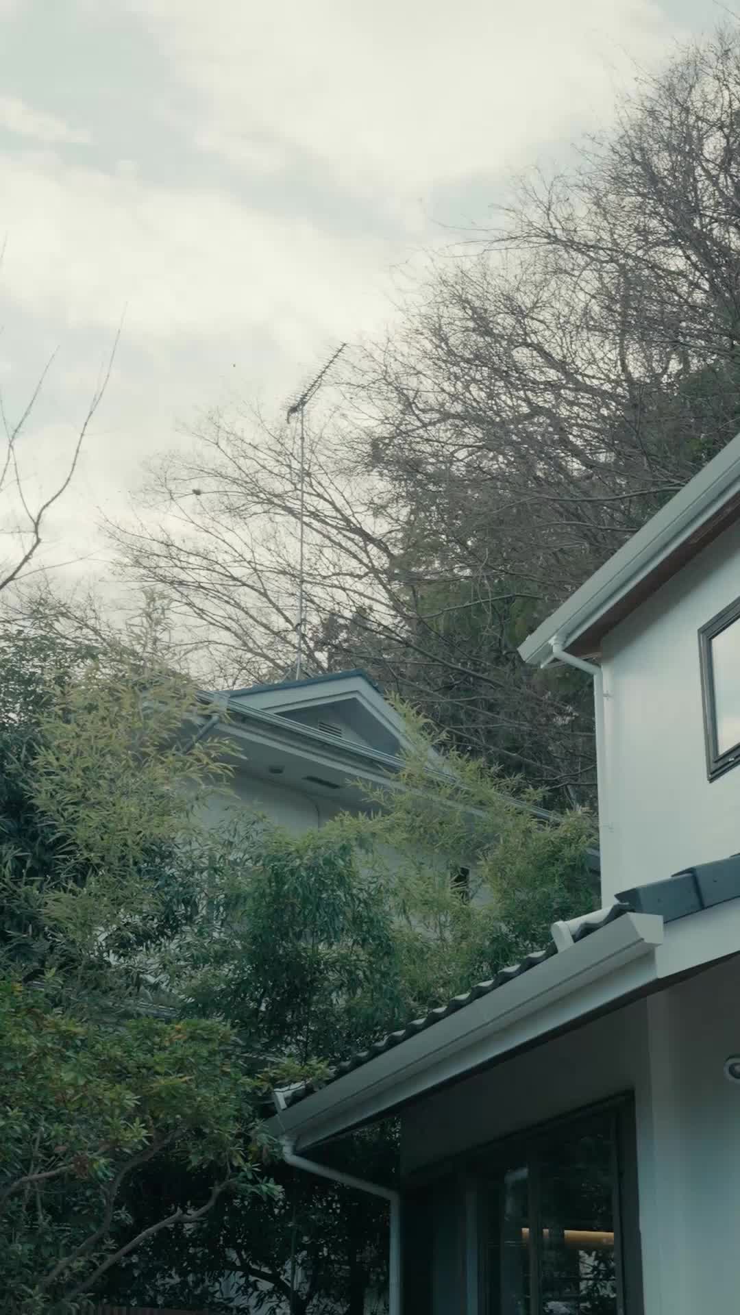 今日から過保護なお坊さんの花嫁 EP.3