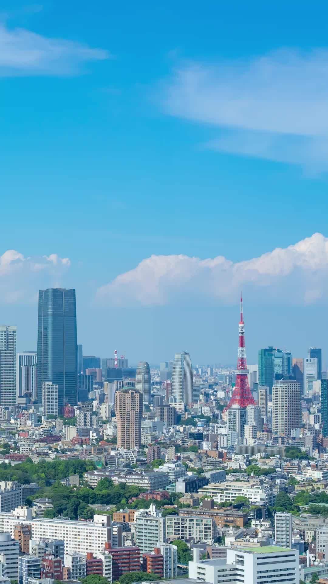 第36集