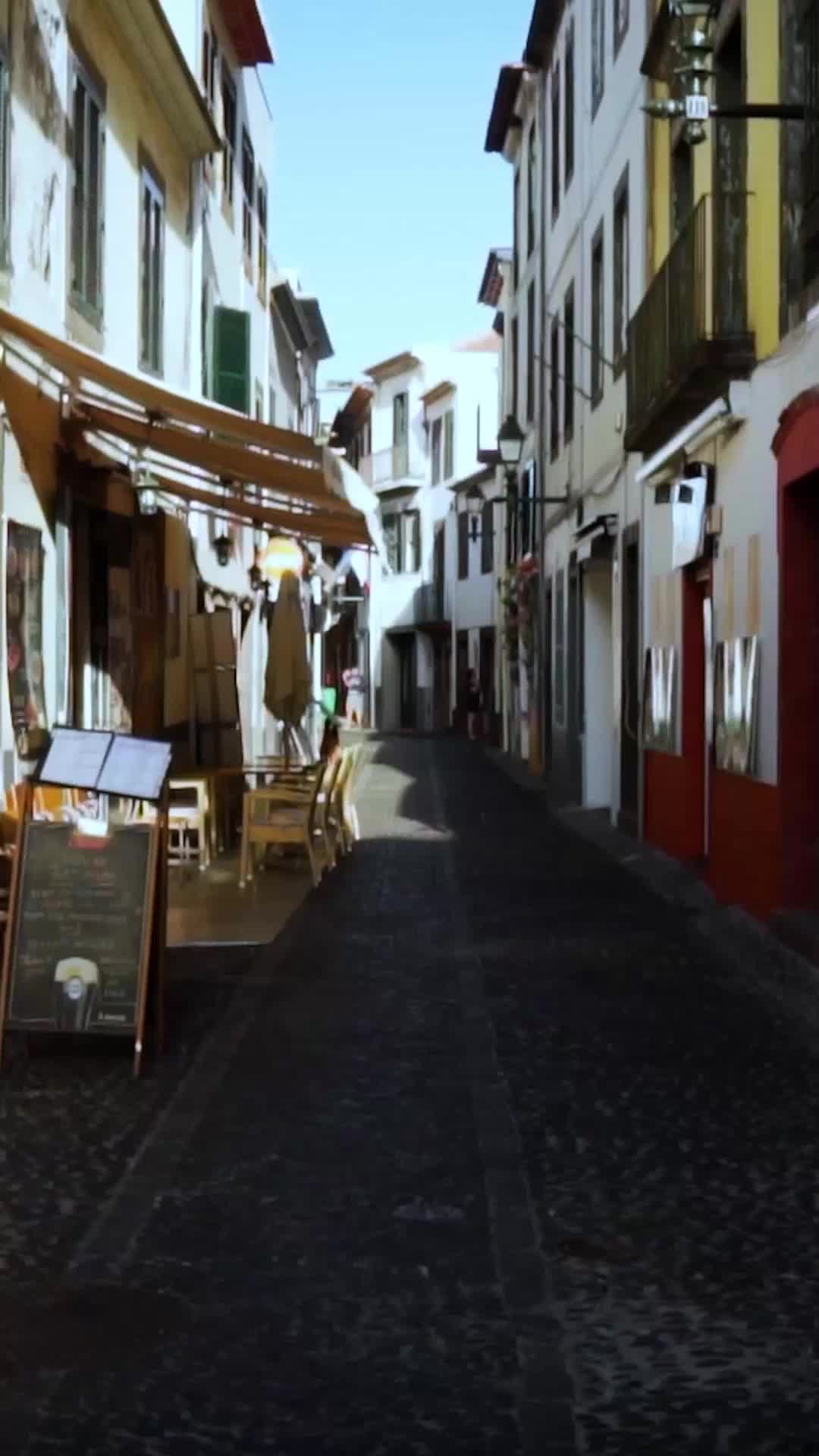 Ratu Pembalasan: Kemarahan Sang Kakak EP.7